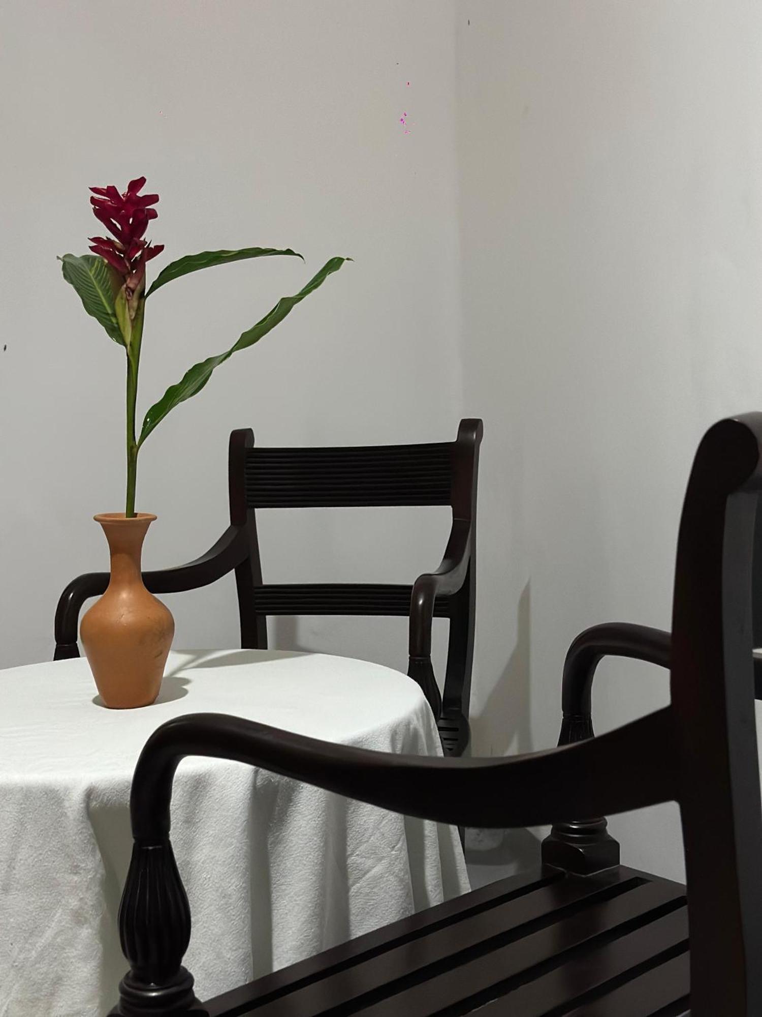 希克杜沃Casa Del Ceylon公寓 外观 照片