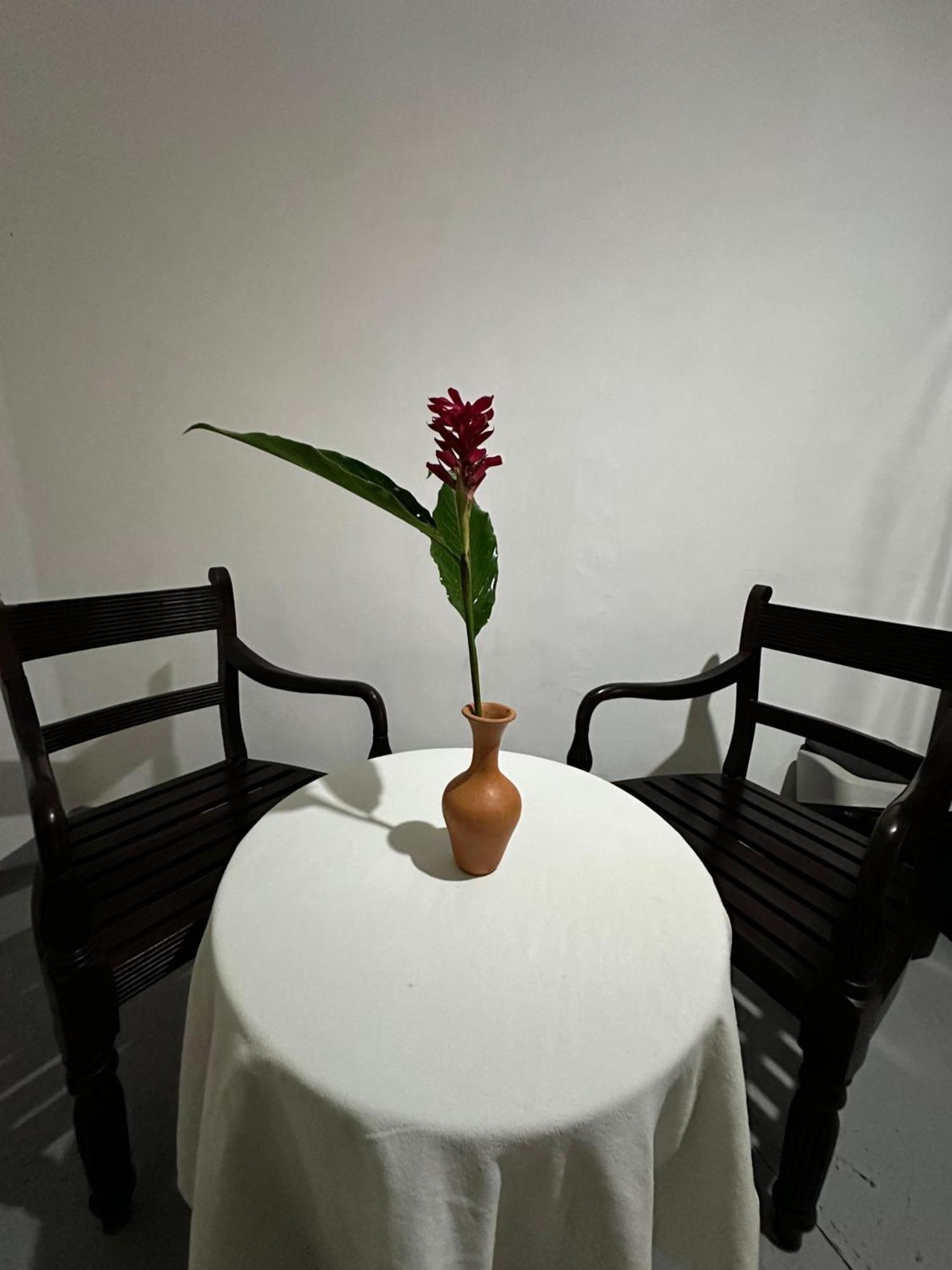 希克杜沃Casa Del Ceylon公寓 外观 照片